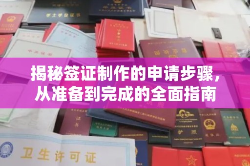 葫芦岛揭秘签证制作的申请步骤，从准备到完成的全面指南