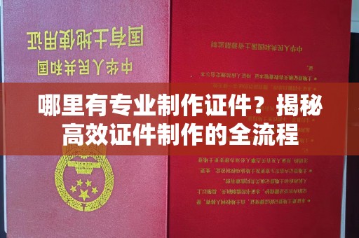 葫芦岛哪里有专业制作证件？揭秘高效证件制作的全流程